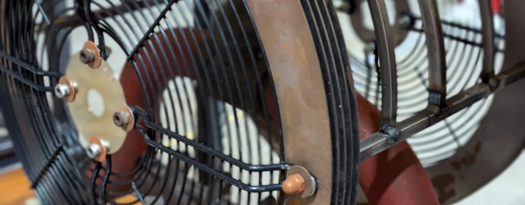 PXL_20250609_155140347.PORTRAIT